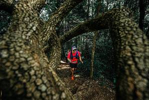 BIB: 
                            <button type="button" onclick="openModal(25703733)" class="btn btn-primary btn-sm float-right btn-popup" data-toggle="modal" data-target=".modal-high-quality">
                        <i class="fas fa-shopping-cart"></i> Add to Cart
                    </button>
                                            <button type="button" onclick="isThisMe(25703733, true)" class="btn btn-success btn-sm float-right btn-popup btn-isme hidden" data-toggle="tooltip" data-placement="bottom" title="นี่คือรูปของคุณใช่ไหม คลิกที่นี่เพื่อเอาเข้าอัลบั้ม">
                        <i class="fas fa-plus"></i> Add to album
                    </button>
                    <button type="button" onclick="isThisMe(25703733, false)" class="btn btn-warning btn-sm float-right btn-popup btn-isnotme hidden">
                        <i class="fas fa-ban"></i> Remove from album
                    </button>